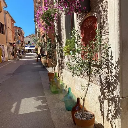 Apartment Casa Istrie Novigrad (Istria)
